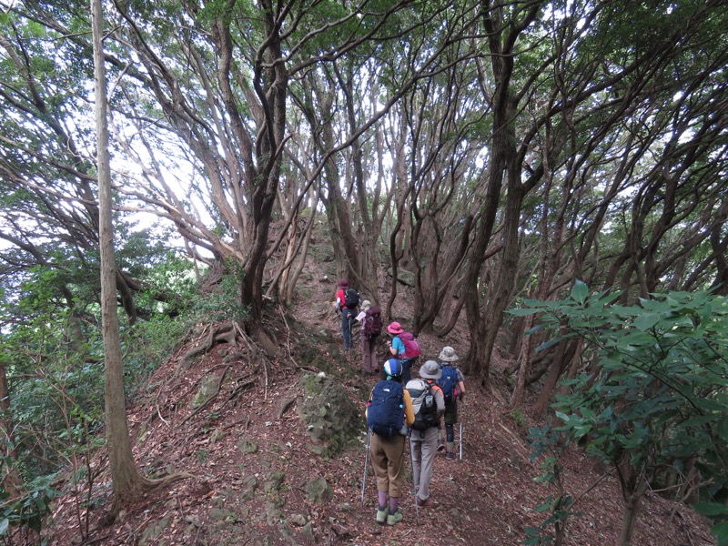 沼津アルプス登山