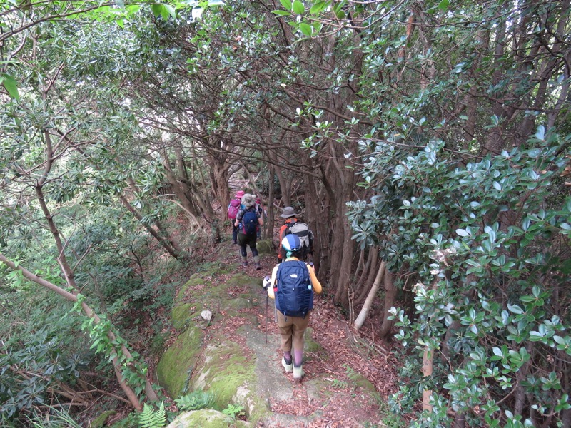 沼津アルプス登山