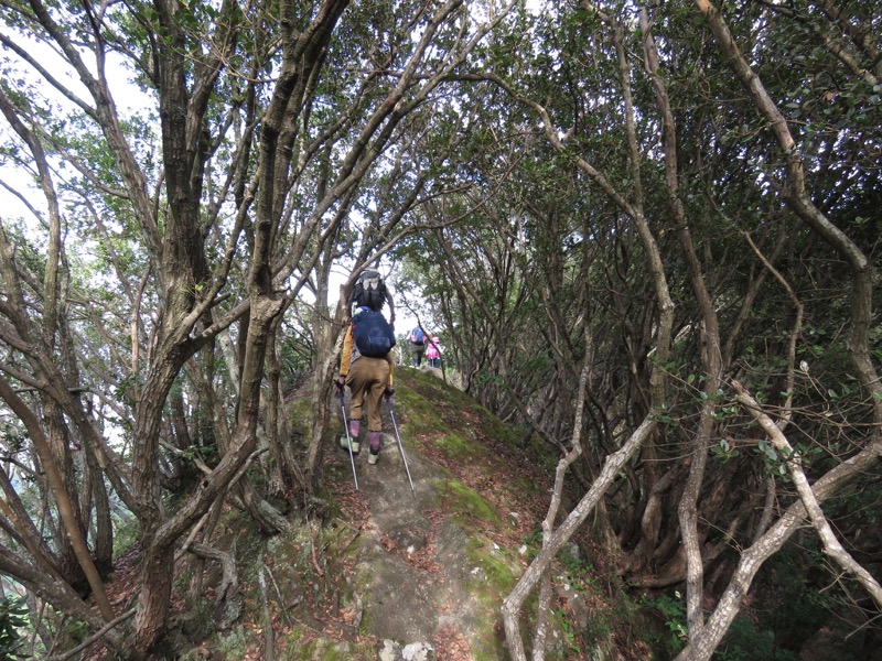 沼津アルプス登山