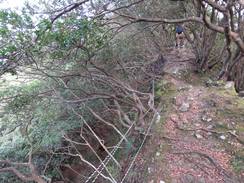 沼津アルプス登山