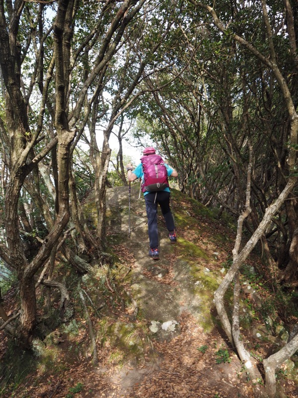 沼津アルプス登山