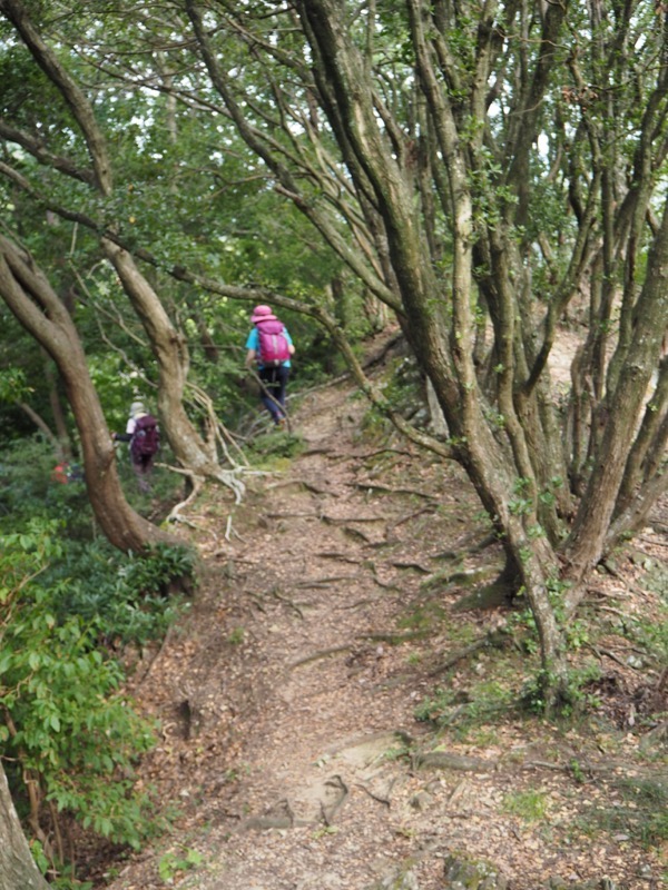 沼津アルプス登山