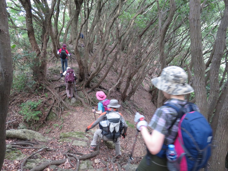 沼津アルプス登山