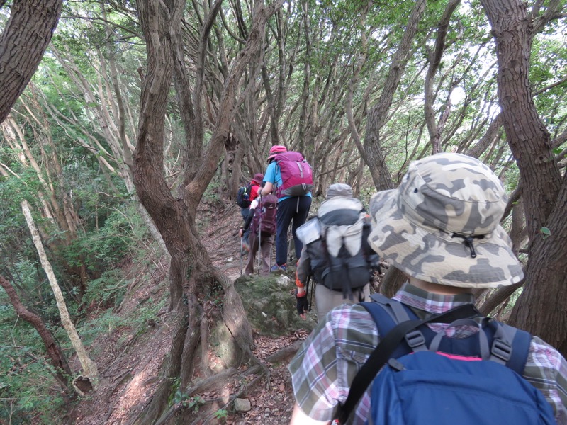 沼津アルプス登山