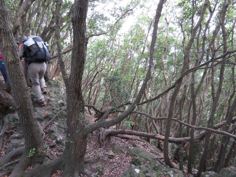 沼津アルプス登山