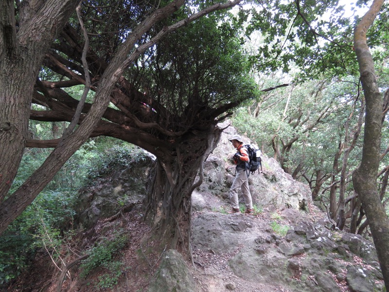 沼津アルプス登山