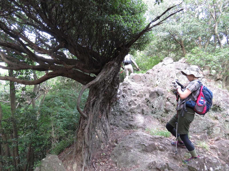 沼津アルプス登山