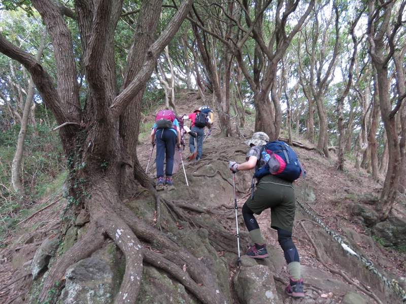 沼津アルプス登山