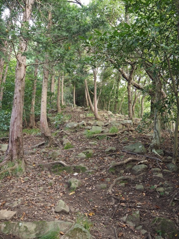 沼津アルプス登山