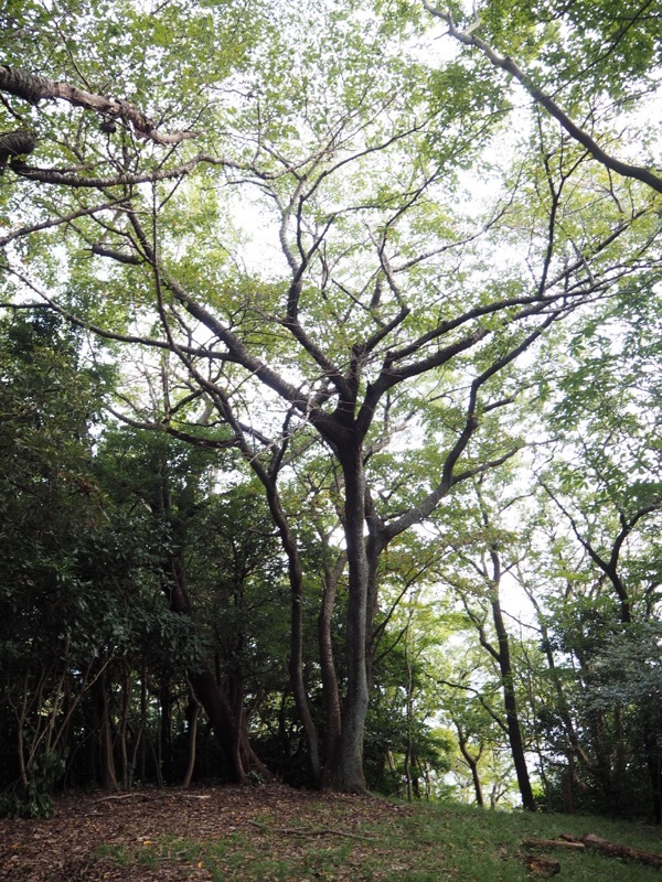 沼津アルプス登山