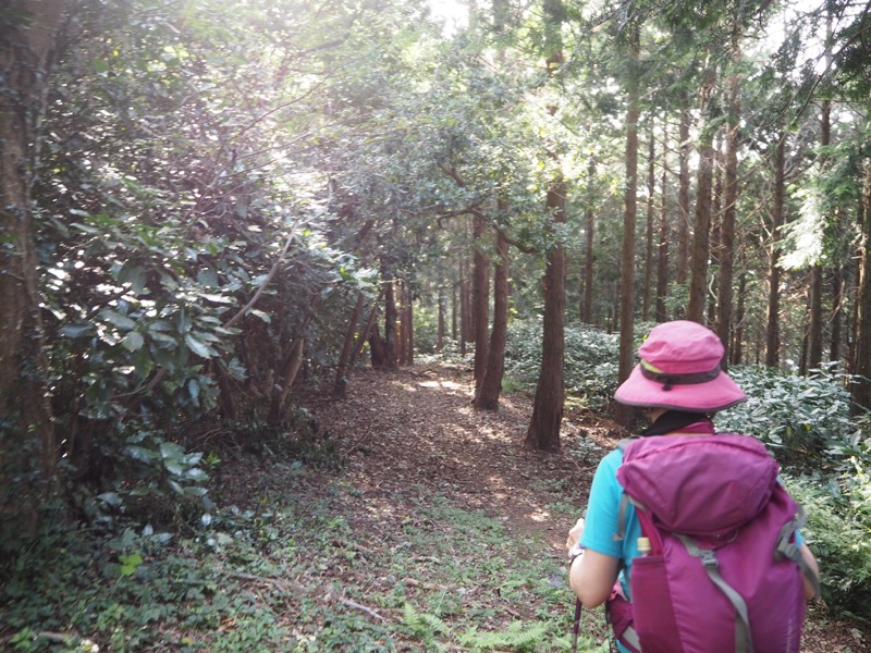 沼津アルプス登山