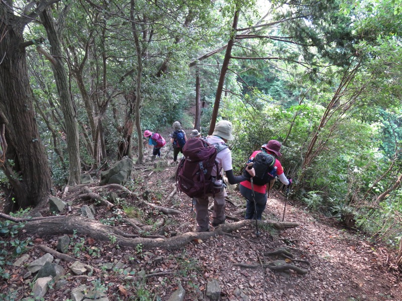 沼津アルプス登山