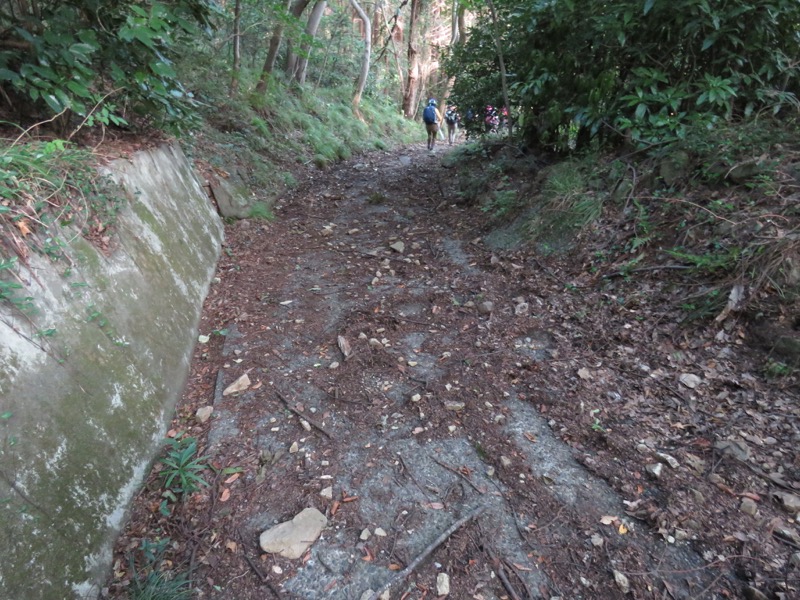 沼津アルプス登山