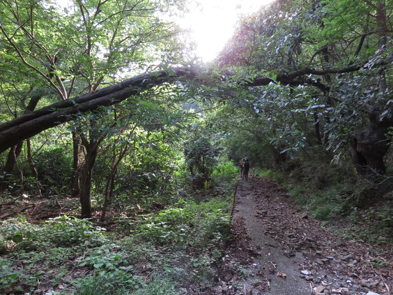 沼津アルプス登山