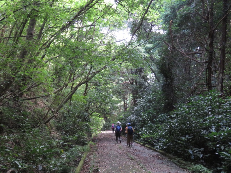 沼津アルプス登山