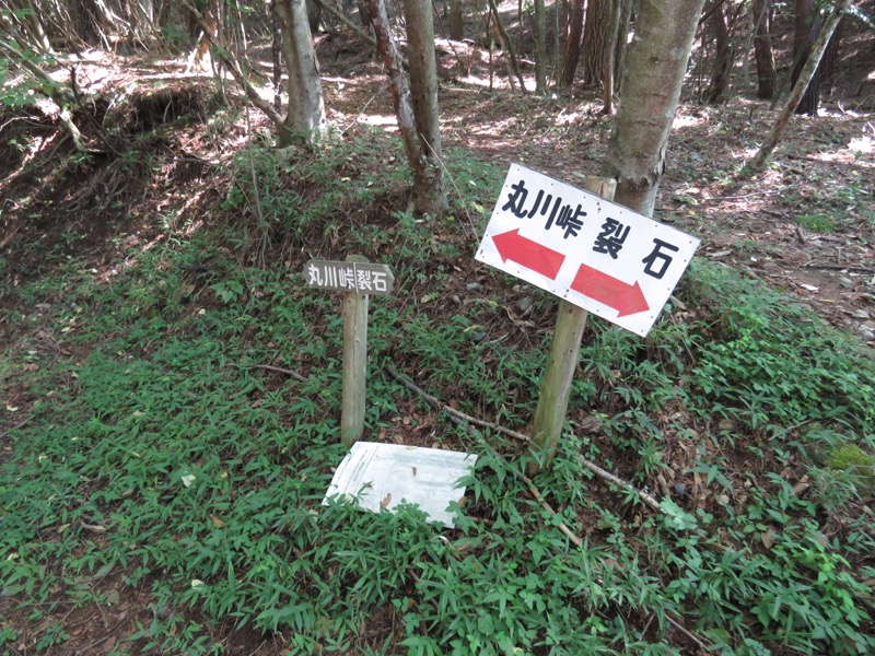 大菩薩嶺登山