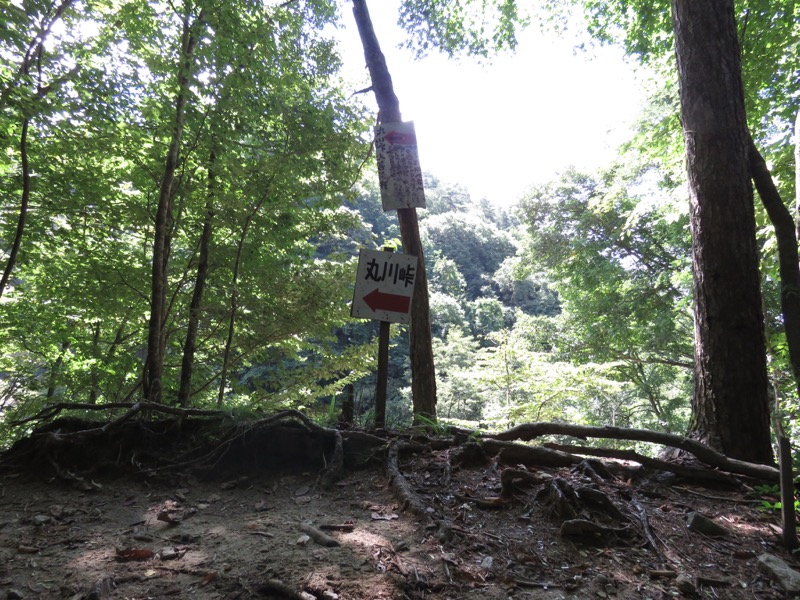 大菩薩嶺登山