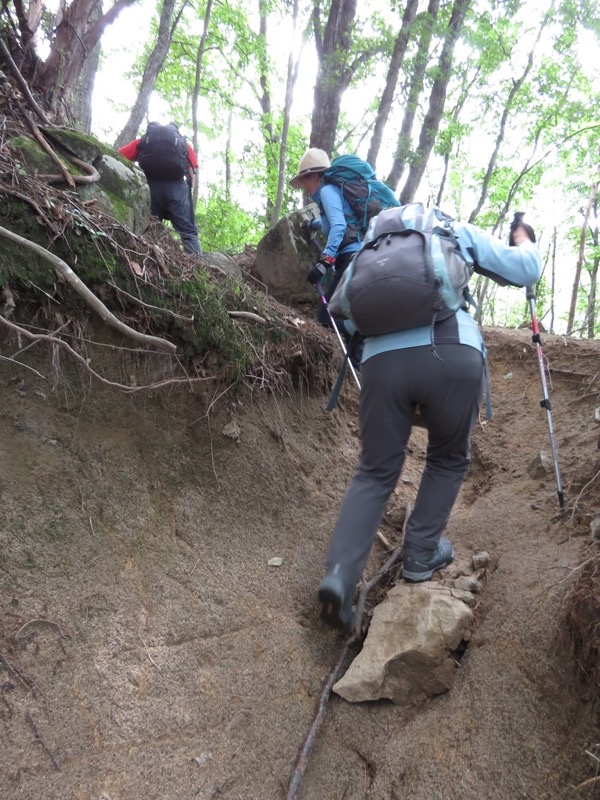 大菩薩嶺登山