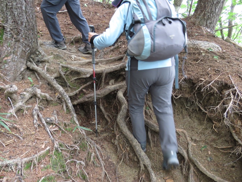 大菩薩嶺登山