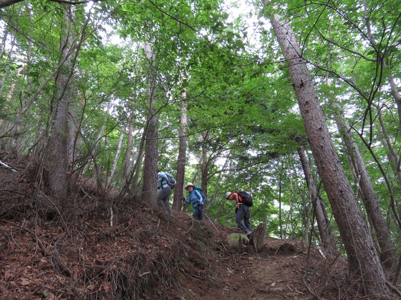 大菩薩嶺登山