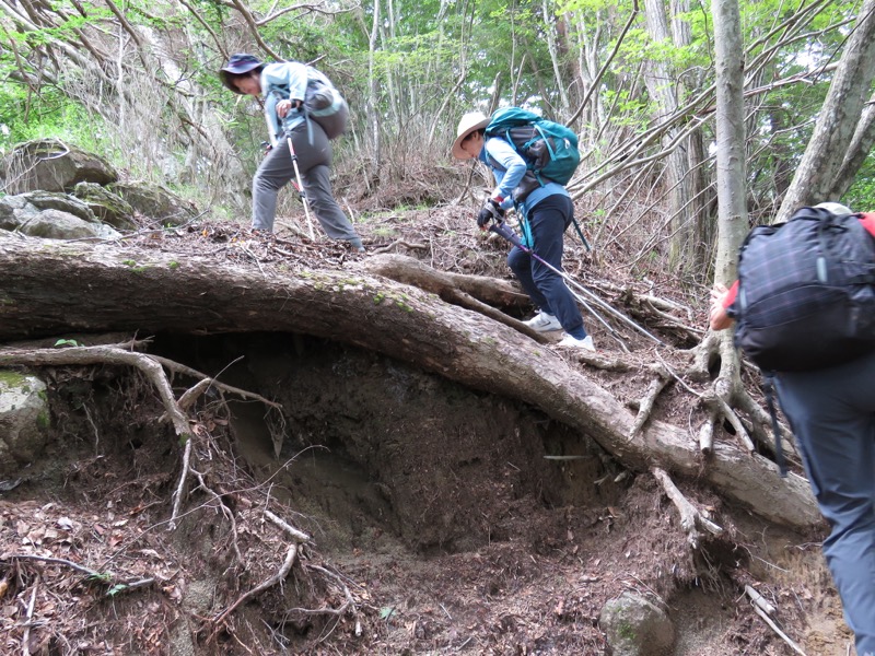 大菩薩嶺登山