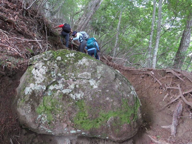 大菩薩嶺登山