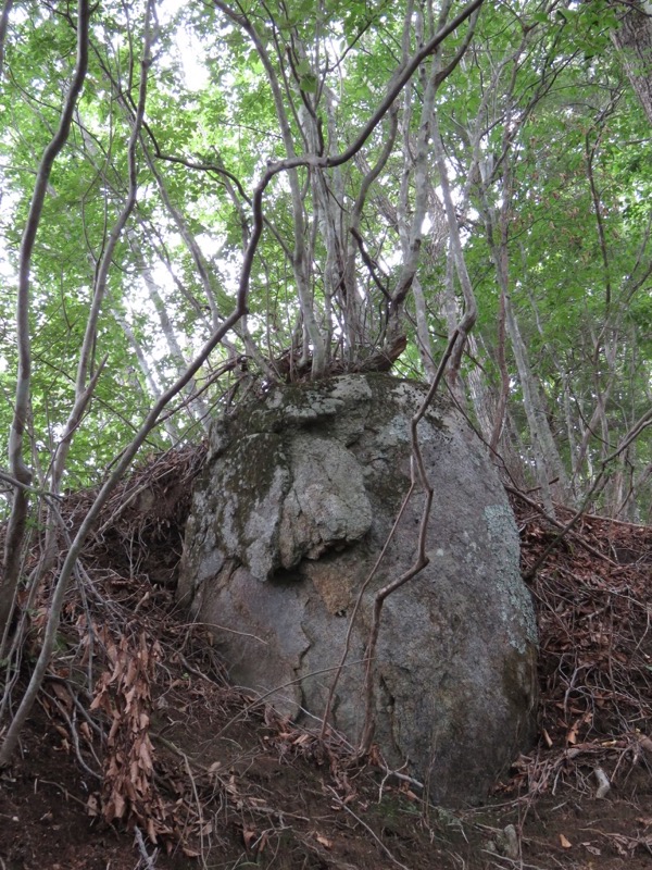 大菩薩嶺登山