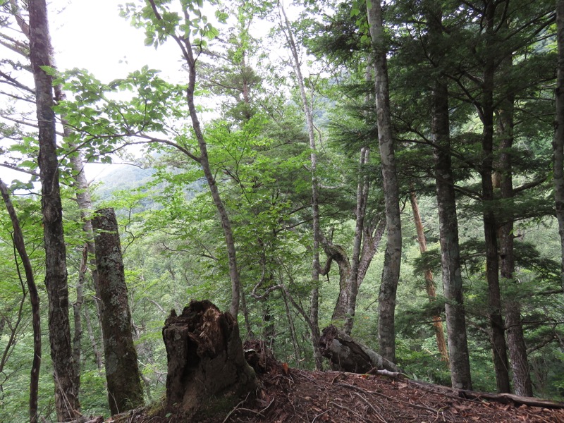 大菩薩嶺登山