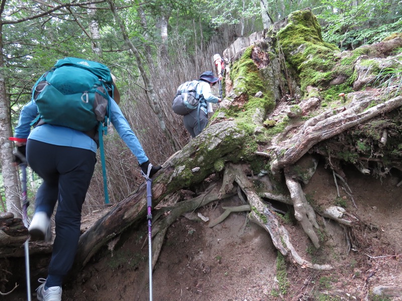 大菩薩嶺登山