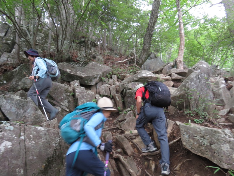 大菩薩嶺登山