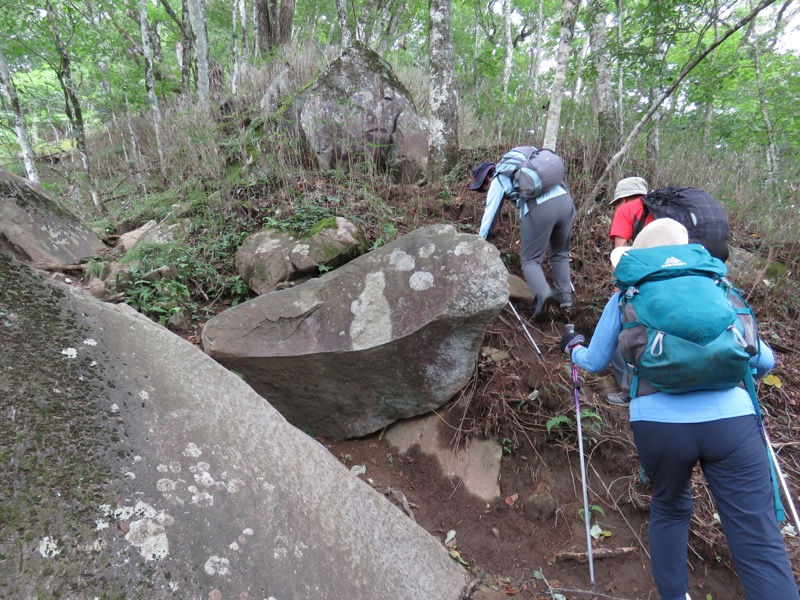 大菩薩嶺登山