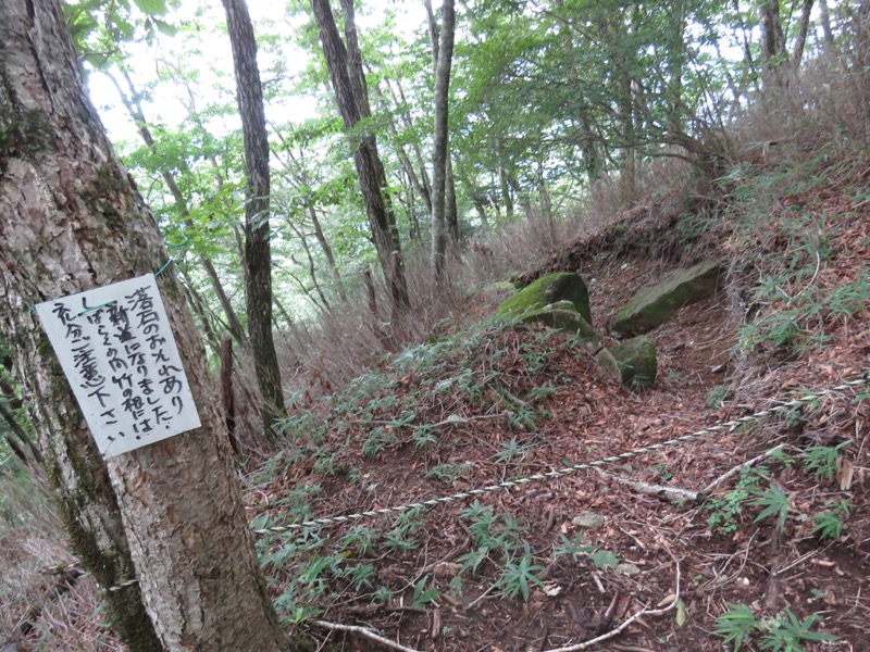 大菩薩嶺登山