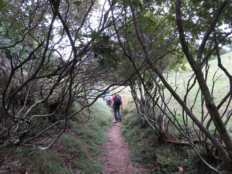 大菩薩嶺登山