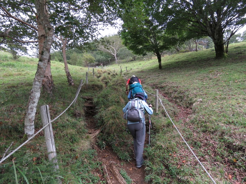 大菩薩嶺登山