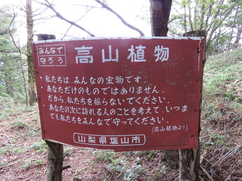 大菩薩嶺登山