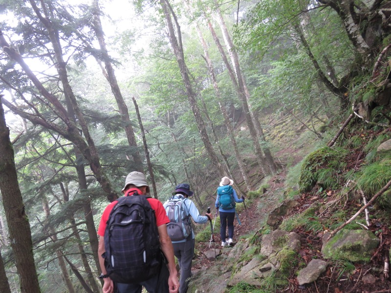 大菩薩嶺登山