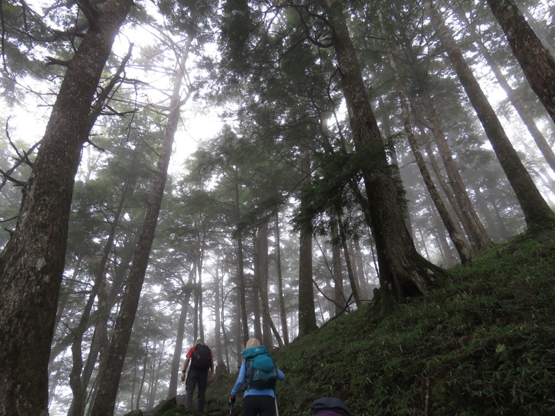 大菩薩嶺登山