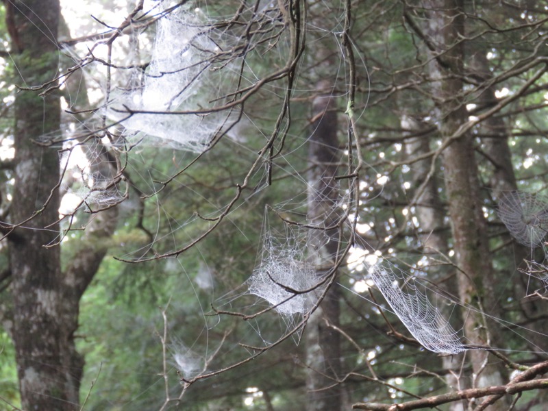 大菩薩嶺登山