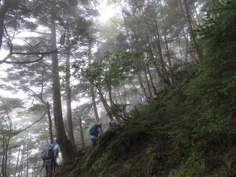 大菩薩嶺登山