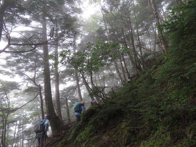 大菩薩嶺登山