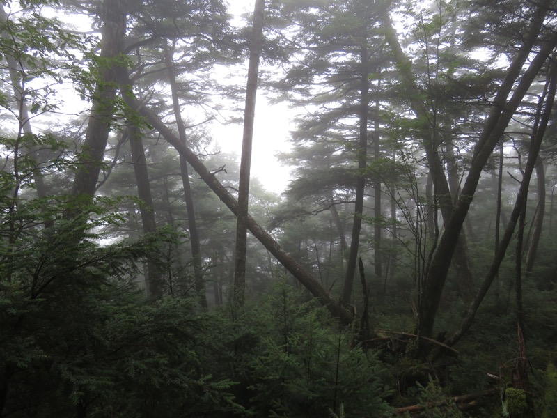 大菩薩嶺登山