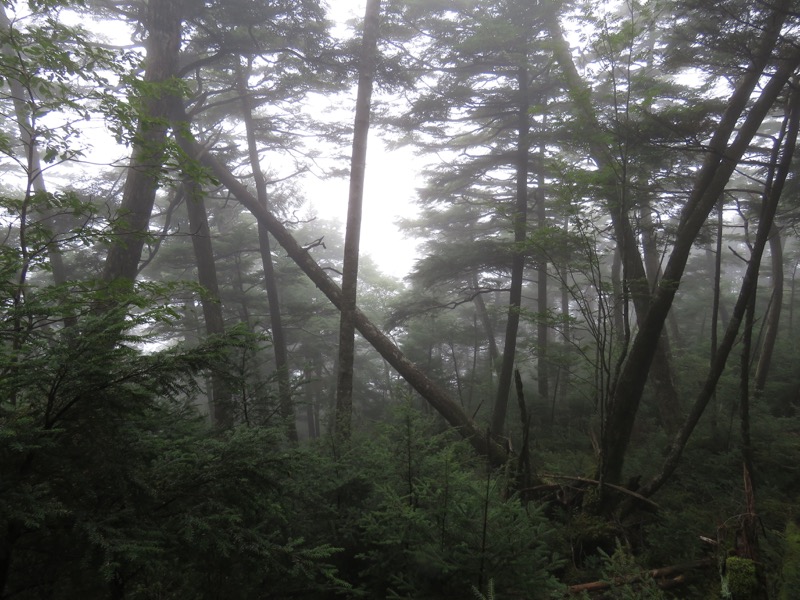 大菩薩嶺登山