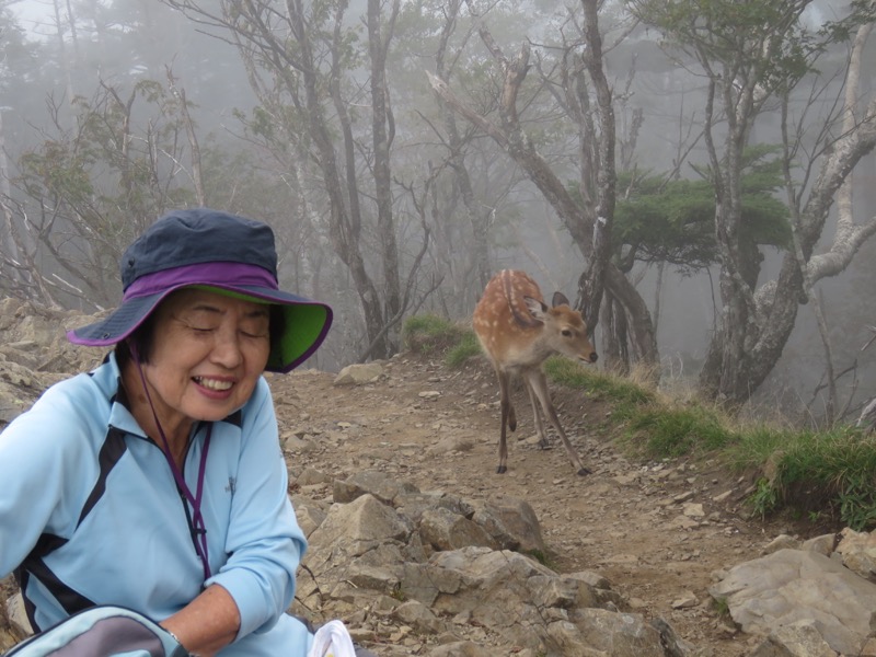 大菩薩嶺登山