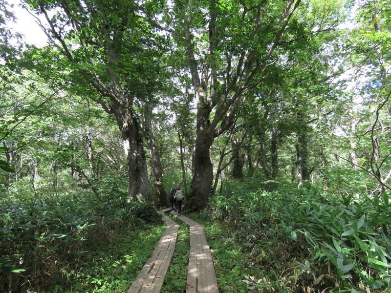 燧ヶ岳登山