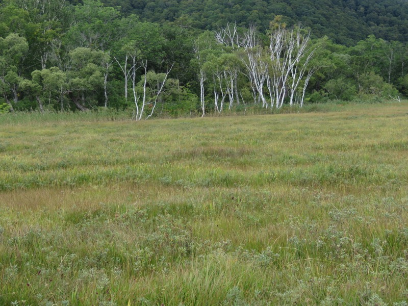 燧ヶ岳登山