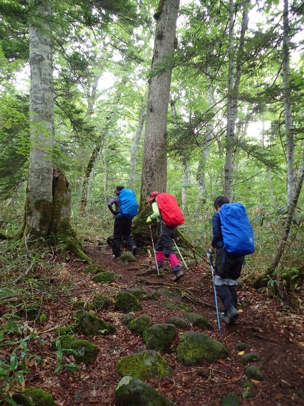 燧ヶ岳登山