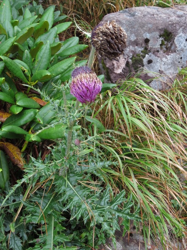 燧ヶ岳登山