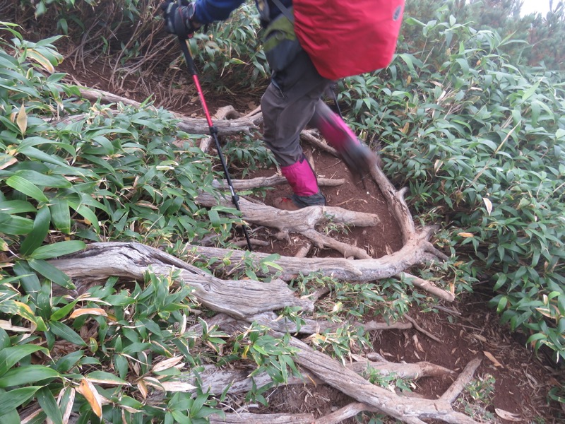 燧ヶ岳登山