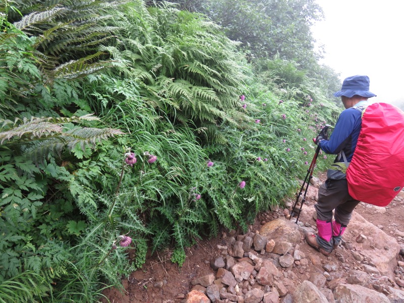 燧ヶ岳登山