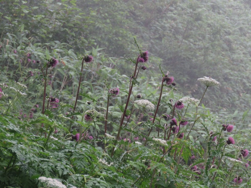 燧ヶ岳登山